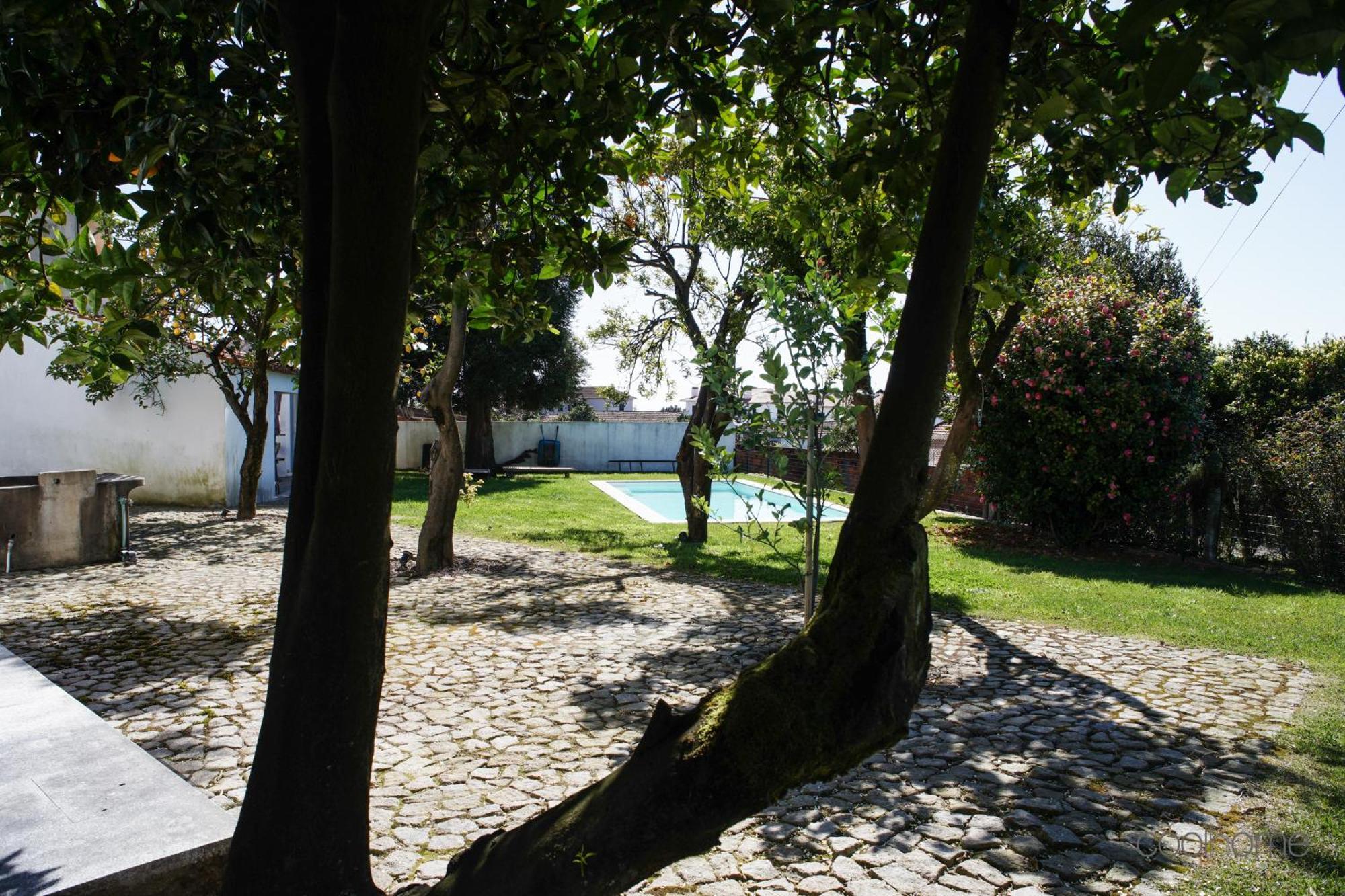 12 Casa D'Avo Villa Albergaria-a-Velha Exteriör bild